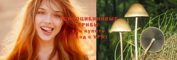 эйфоретик Покров