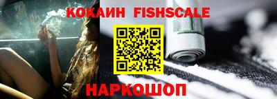 индика Гатчина