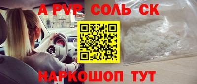 индика Гатчина
