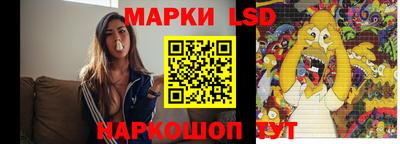 индика Гатчина