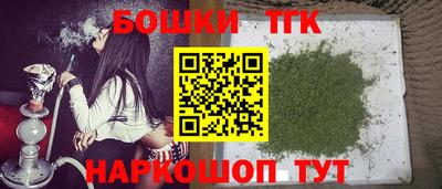 индика Гатчина