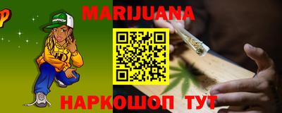 индика Гатчина