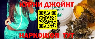 индика Гатчина