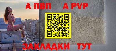 индика Гатчина