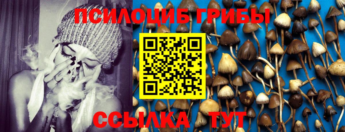 МДМА  Кувандык  МЕФ кристаллы  ГАШ  Канабис  Вход с VPN 