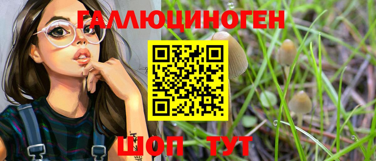 Кувандык  Псилоцибиновые грибы мухоморы  Вход с VPN 