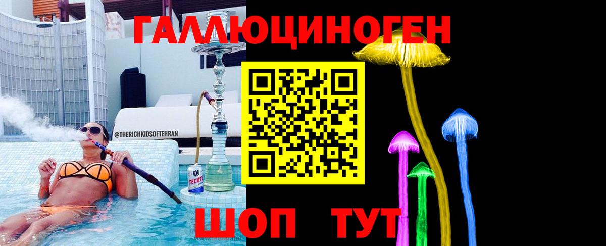 Псилоцибиновые грибы Psilocybine cubensis Кувандык